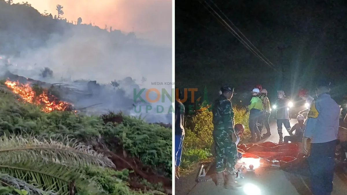 Kebakaran Lahan Sawit di Langgikima Konawe Utara, Sekitar 100 Hektare Terbakar