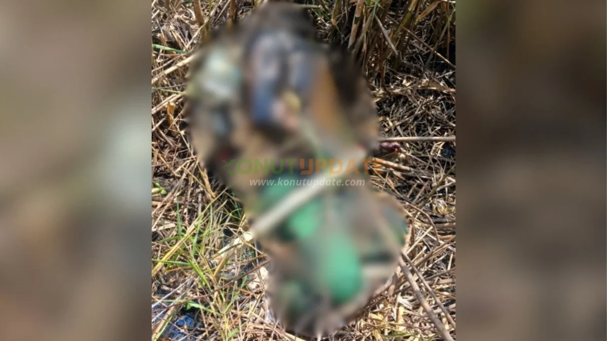 Hari Keenam Pencarian, Warga yang Hilang di Anggoro Akhirnya Ditemukan