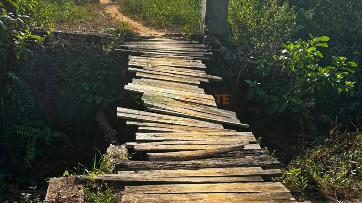 Warga Menanti Perbaikan, Jembatan Kayu di Desa Oheo Trans Disebut Pernah Makan Korban