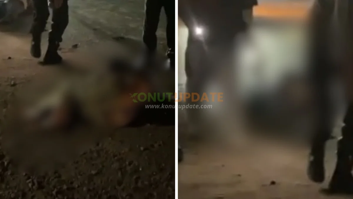 Kecelakaan Maut di Desa Lapulu, Dua Pengendara Motor Dilaporkan Meninggal Dunia