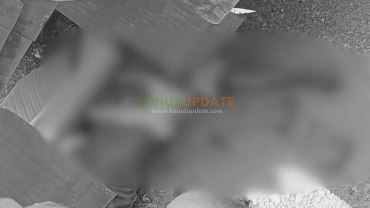 Kecelakaan di Jalan 40 Kendari, Seorang Anak Berusia 5 Tahun Dikabarkan Meninggal Dunia