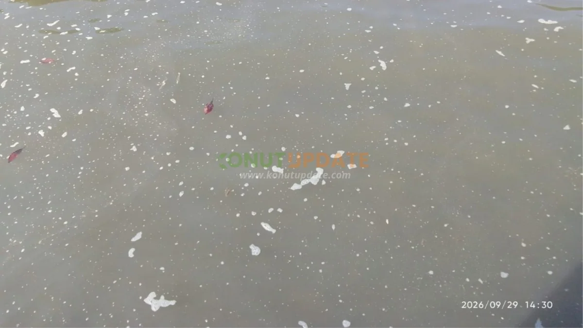Sejumlah Nelayan Desa Pasir Putih Keluhkan Laut Keruh, Diduga Ada Tumpahan Ore Nikel dari Kapal Tongkang