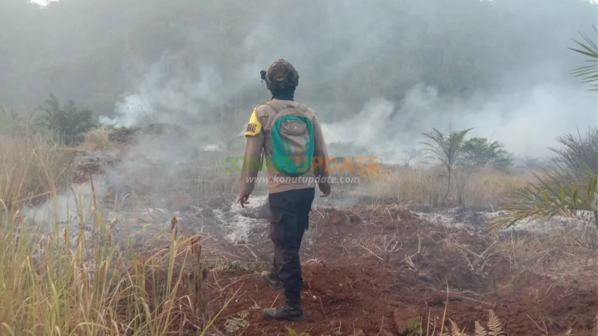 Kebakaran Lahan 5 Hektare di Tadoloiyo Trans Konut, Api Berawal dari Pembukaan Lahan
