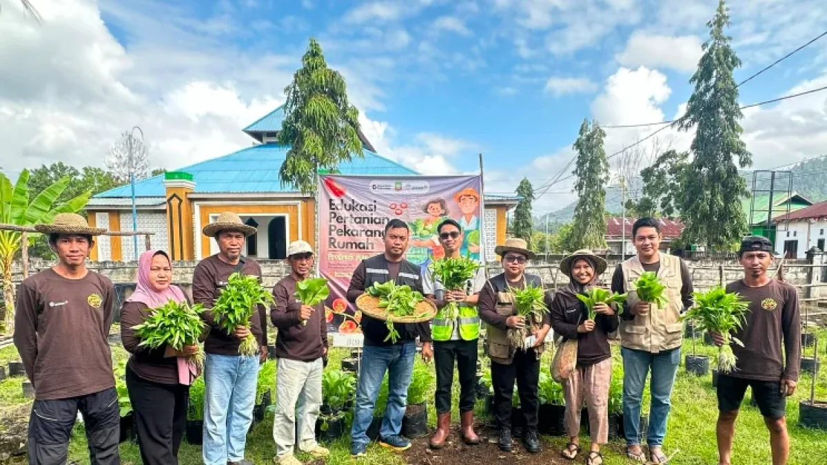 Program Ketahanan Pangan PPM PT ANTAM UBPN Konawe Utara Berbuah Hasil, Warga Mowundo Panen Perdana Sayuran