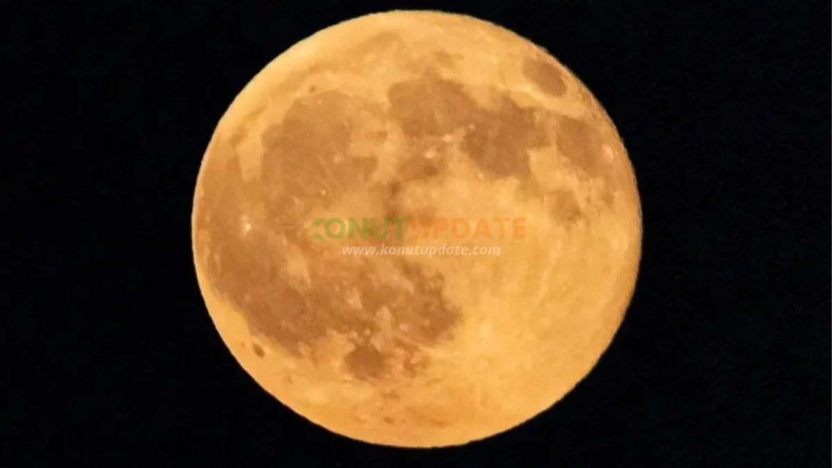 Harvest Moon Hiasi Langit Sultra, Puncak Purnama Terjadi Dini Hari