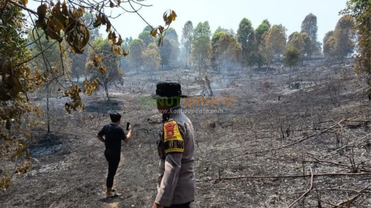 Kemarau Panjang Picu Kebakaran Kebun Cengkeh di Desa Bandaeha, Kecamatan Molawe
