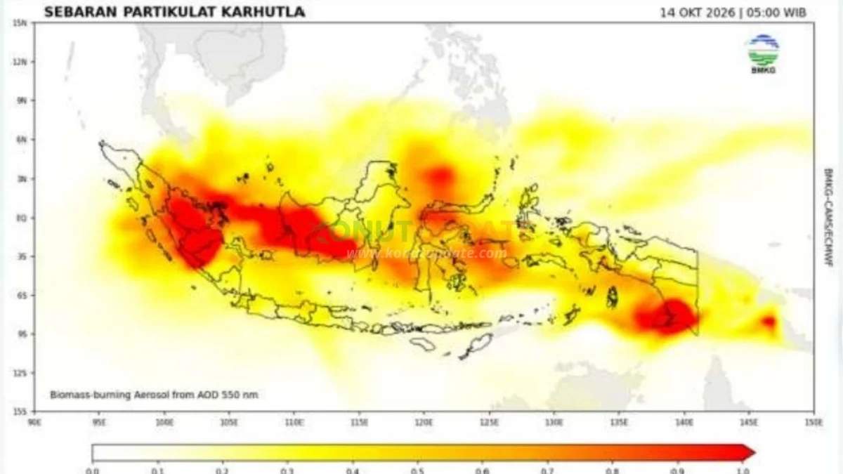 BMKG Prediksi Asap di Konut Makin Pekat, Warga Diminta Waspada hingga 14 Oktober