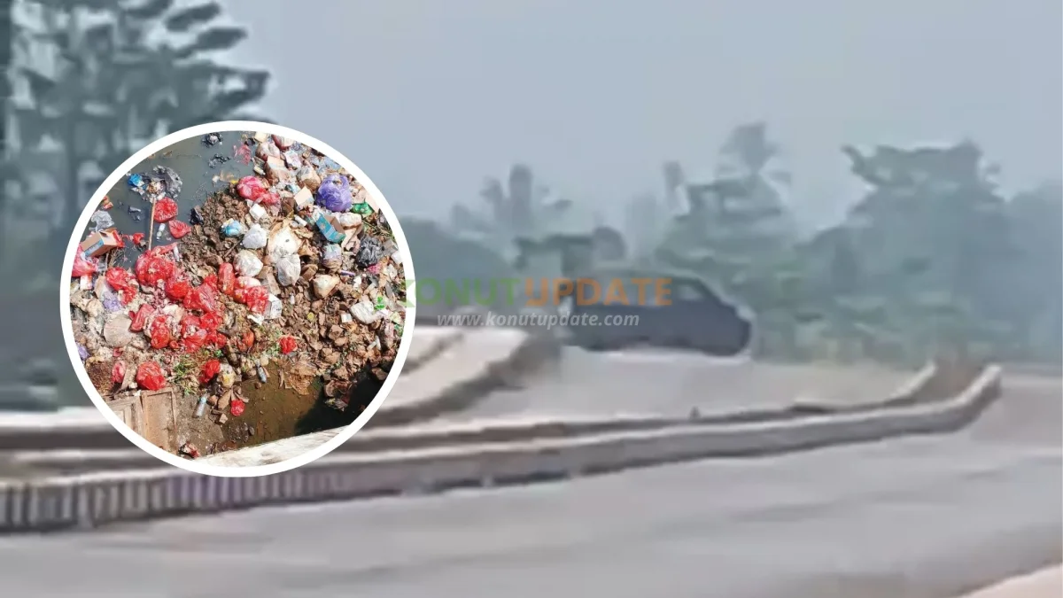 Mobil Pikap Hitam Diduga Buang Limbah Usus dan Tulang Sapi di Jembatan CBD Jalan 40 Labungga, Andowia